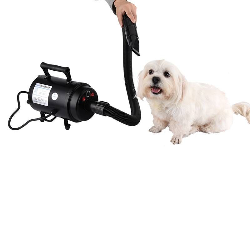 Рейтинг лучших фенов-компрессоров для сушки собак и кошек на 2021 год