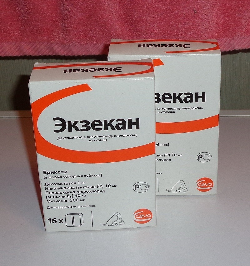 Экзекан — уникальный препарат от аллергии для собак