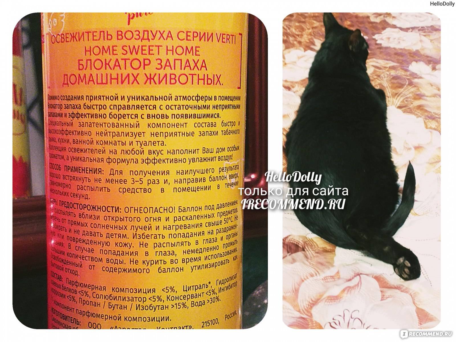 Какой запах не любят кошки: подбираем отпугивающие запахи