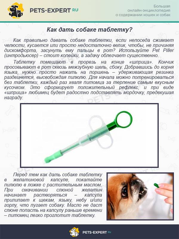 Гептрал - инструкция по применению таблеток, состав, дозировки