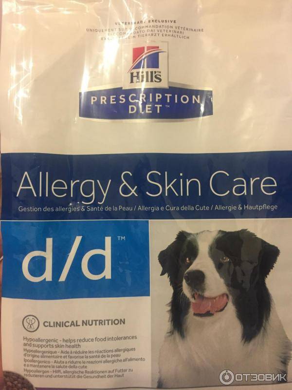 Корм хиллс для собак: обзор состава и рекомендации