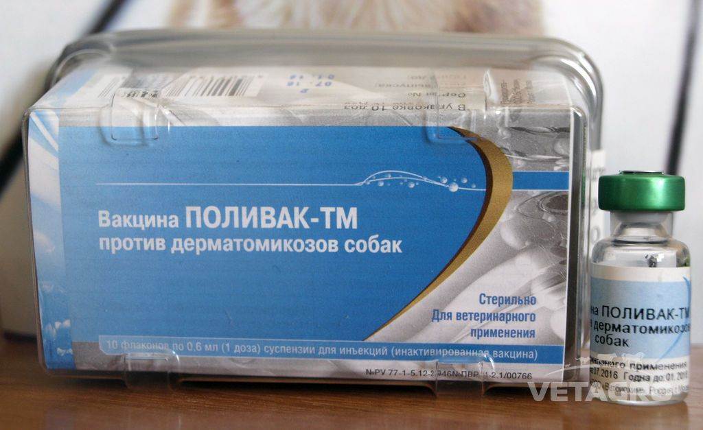 ᐉ вакцина поливак для собак — инструкция по применению - ➡ motildazoo.ru