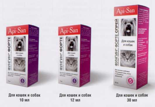 Использование препарата фунгин форте для лечения заболеваний кожи у кошек