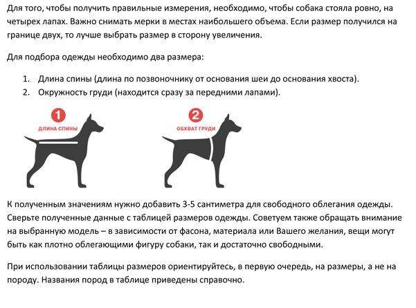 Таблицы размеров одежды и обуви для собак | энциклопедия домашних животных