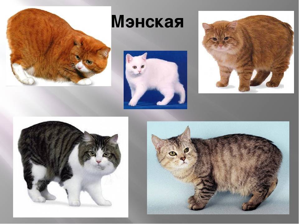 Характеристики