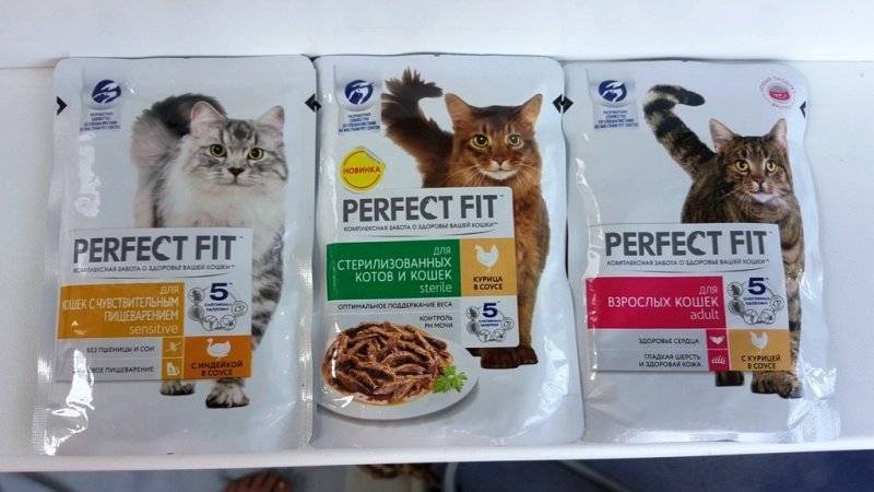 Корм для кошек перфект фит — состав, преимущества и недостатки корма, цена и виды кормов перфект фит