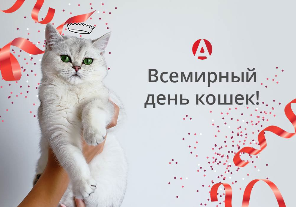 Всемирный день кошек 2023. Всемирный день кошек. Всемирный день кошек 8 августа. Международный день Коше. Всемирный день кошек открытки.