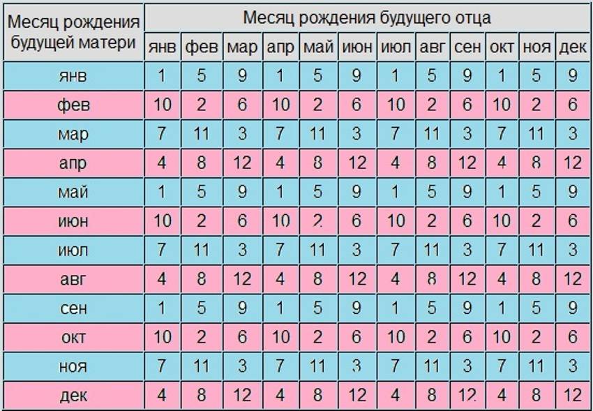 С какого возраста кошка может забеременеть - во сколько месяцев