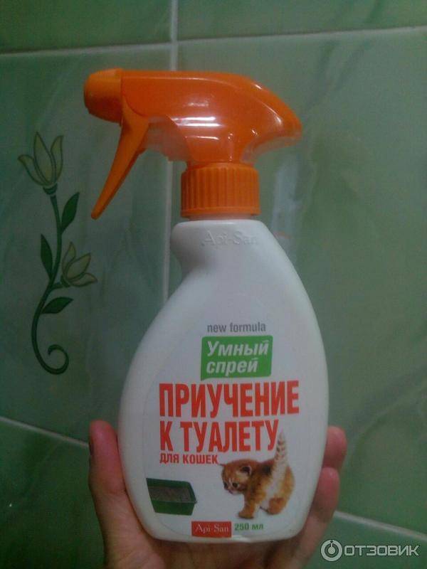Как приучить к туалетному лотку старшую кошку