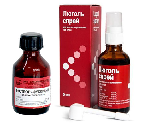 Калицивироз у кошек – симптомы и лечение, профилактика вирусной инфекции в домашних условиях