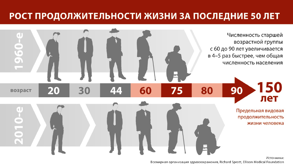 Сколько живут немецкие овчарки — продолжительность жизни немцев в домашних условиях и на улице