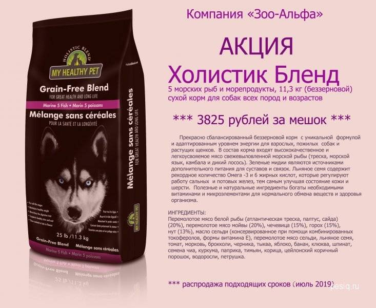 Что значит корм холистик класса: состав холистик кормов, есть ли от них вред, какой корм холистик лучше?