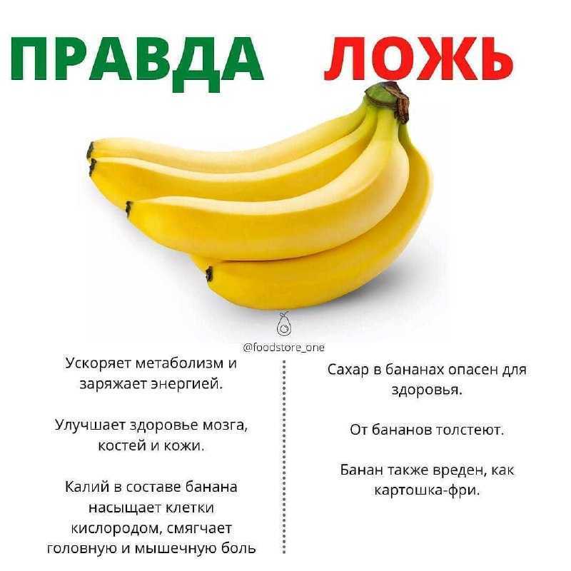 Можно ли кошке бананы | hill’s