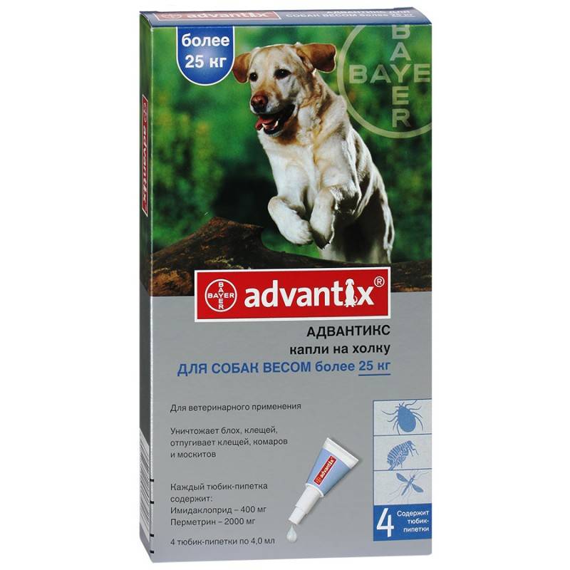 Адвантикс для собак: состав, инструкция, как применять, аналоги