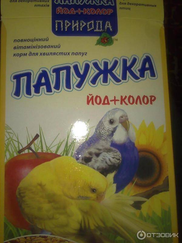 Витамины для попугаев: обзор лучших препаратов для пернатых домочадцев