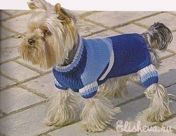 Вязание одежды для собак схема. схемы вязания для маленьких собак. как связать собаке свитер для начинающих спицами. вязание для собак схемы описание, комбинезон, костюм, шапка, спицами, крючком