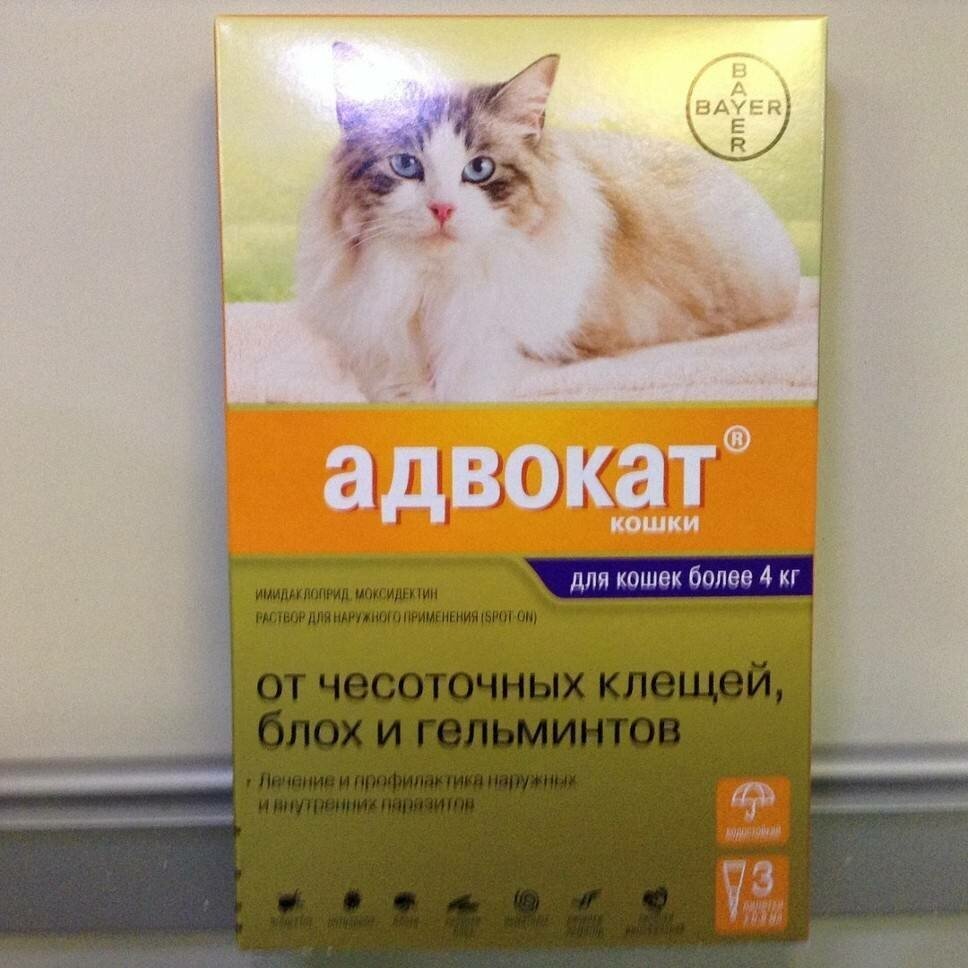 Состав и свойства капель адвокат для кошек
