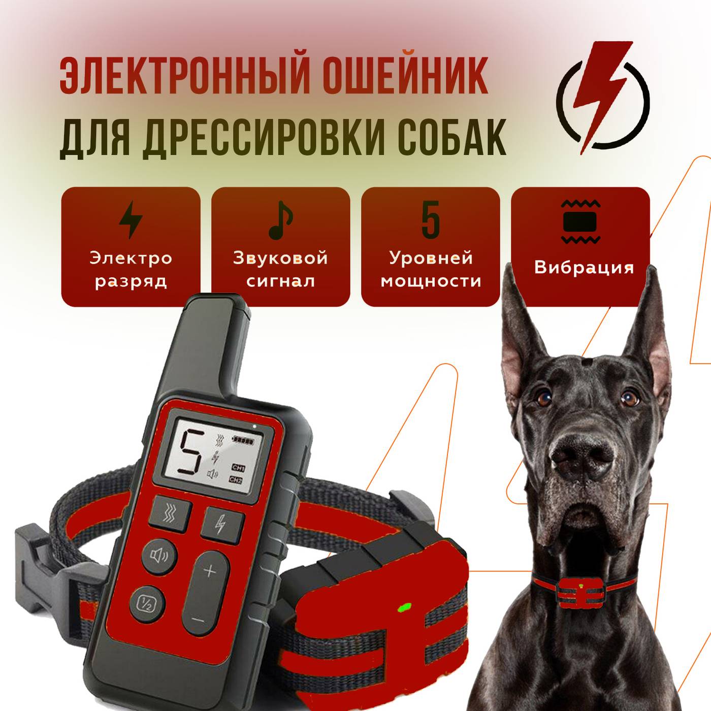 Топ-5: выбираем электрический ошейник для собак