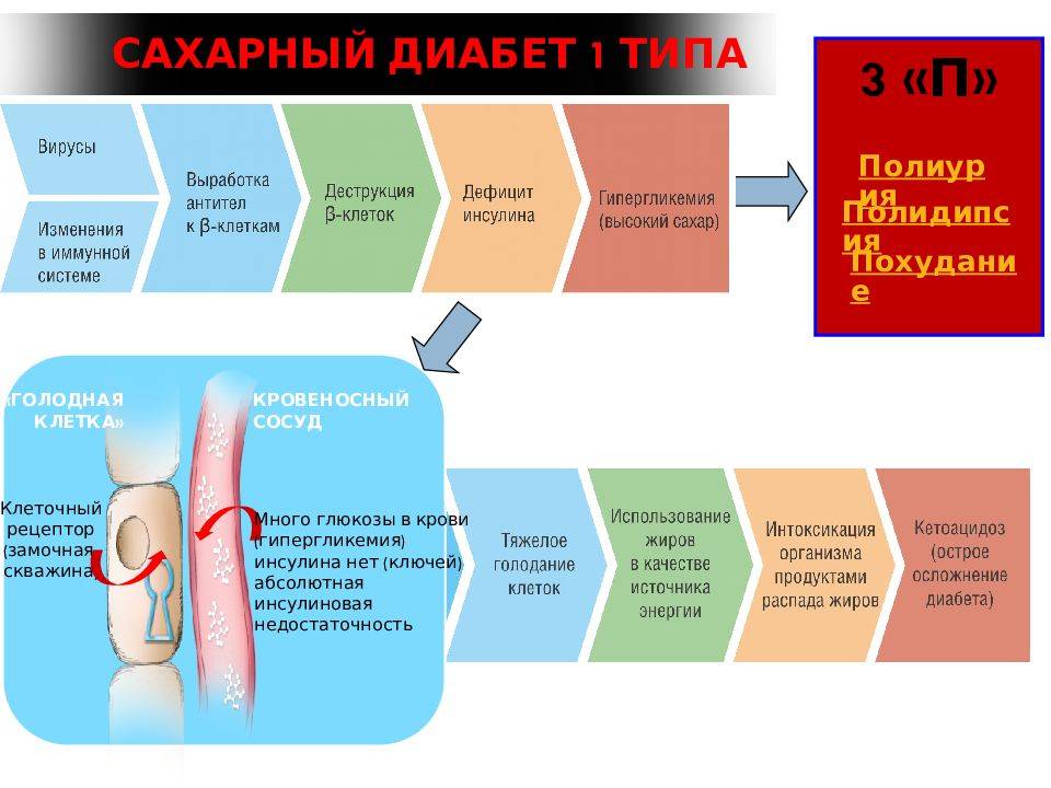 Сахарный диабет 1 и 2 типа презентация