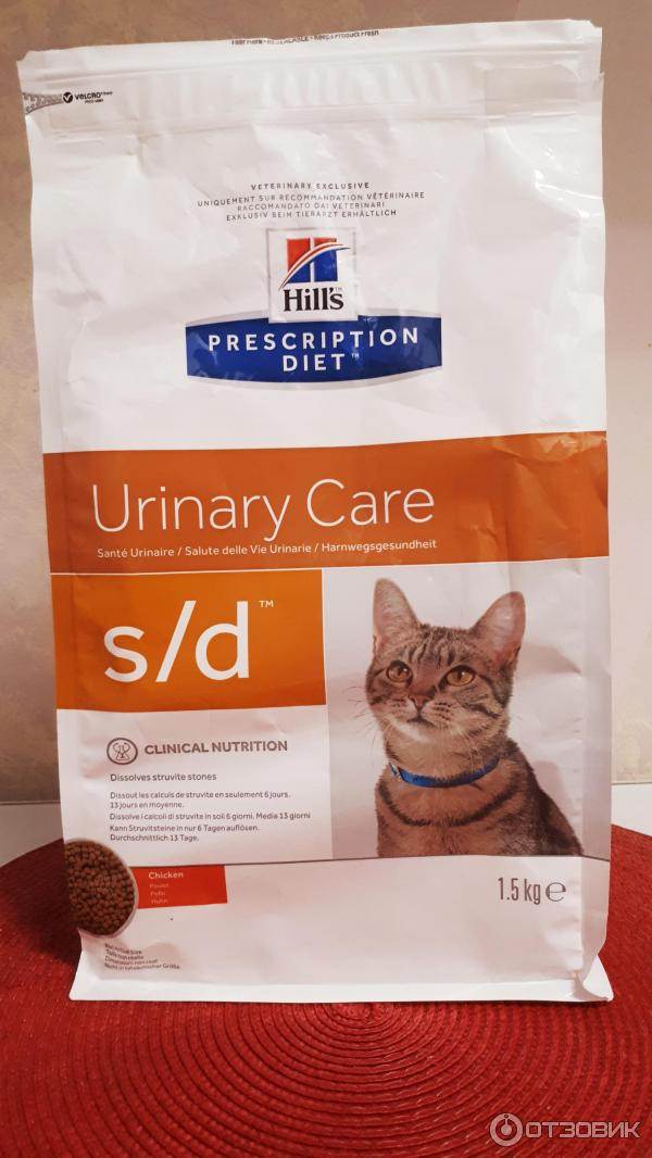 Корм для кошек при мочекаменной болезни: значение диеты, рейтинг лучших марок, натуральная пища