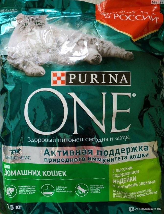Обзор линеек корма для кошек purina one («пурина ван»)