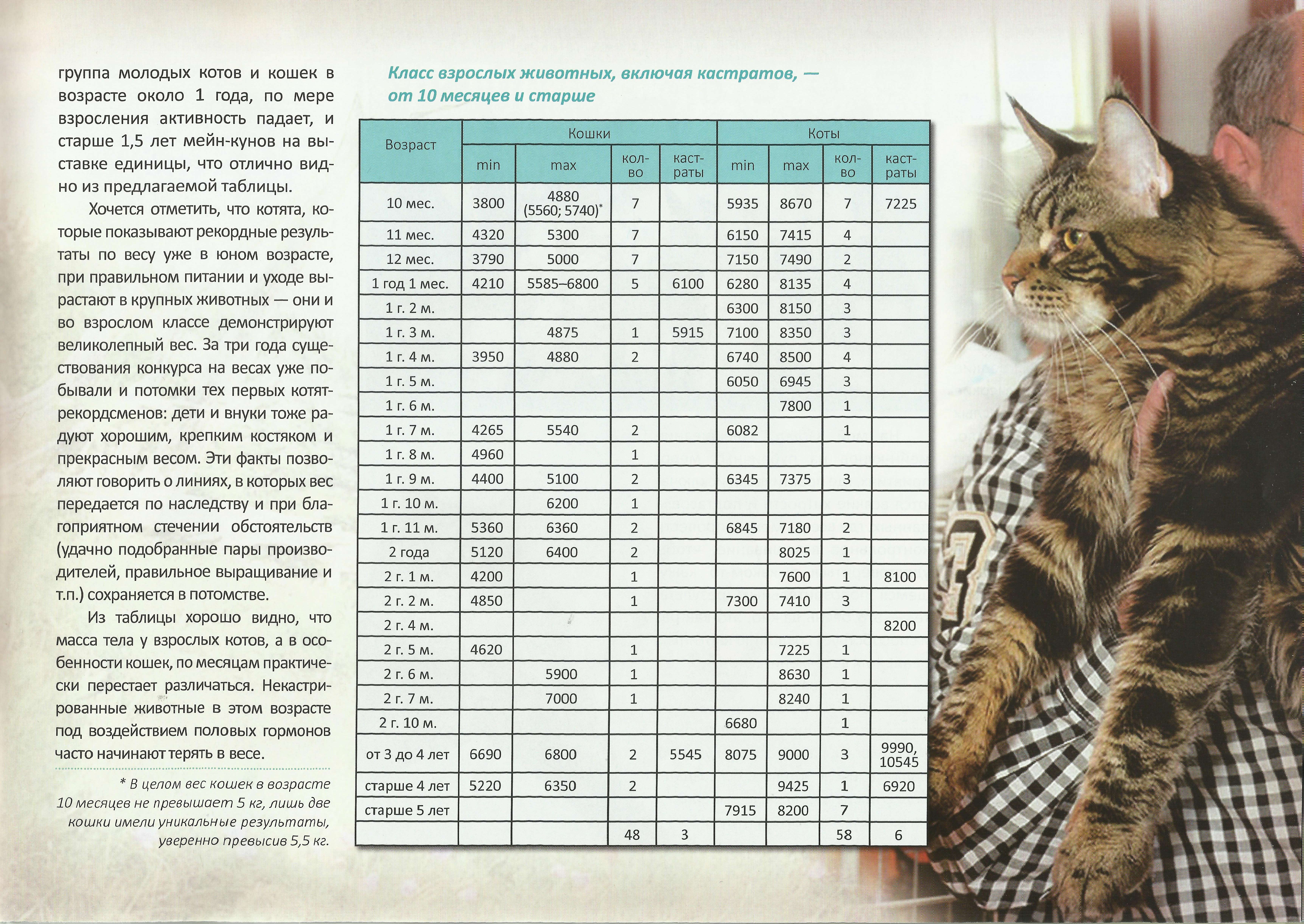 Календарь развития котенка