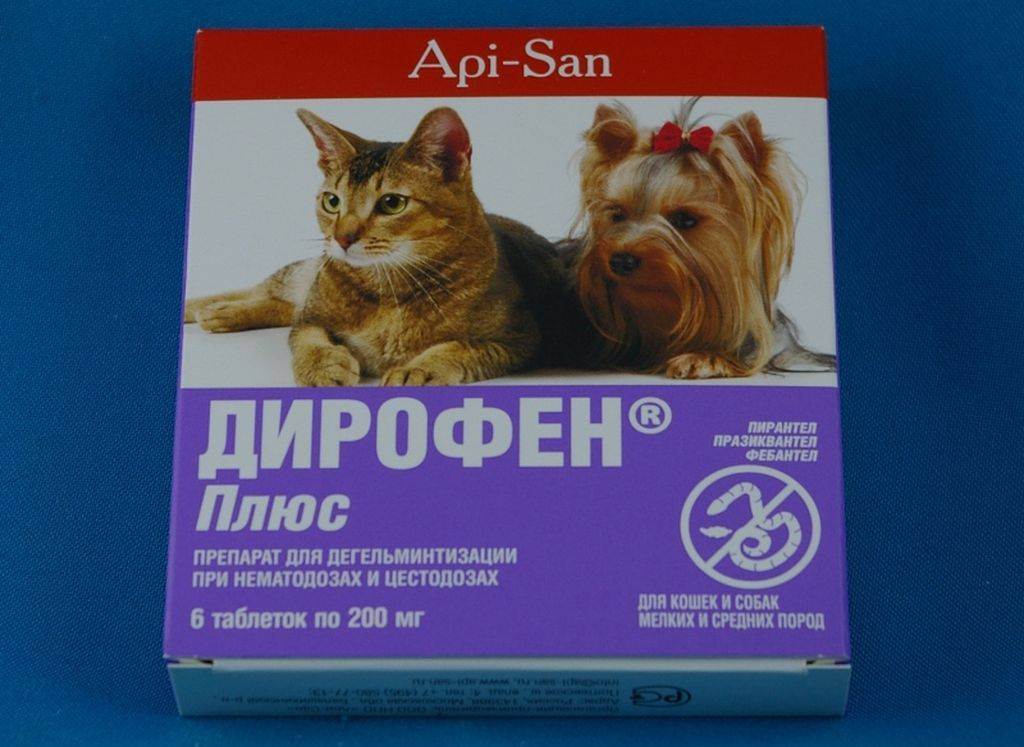Инструкция по применению дирофена у кошек. рассчитайте оптимальную дозу препарата кошкам. изучите широту антгельминтного эффекта дирофена для комплексного лечения множества паразитарных патологий у кошек. улучшите эффективность терапии на 200%