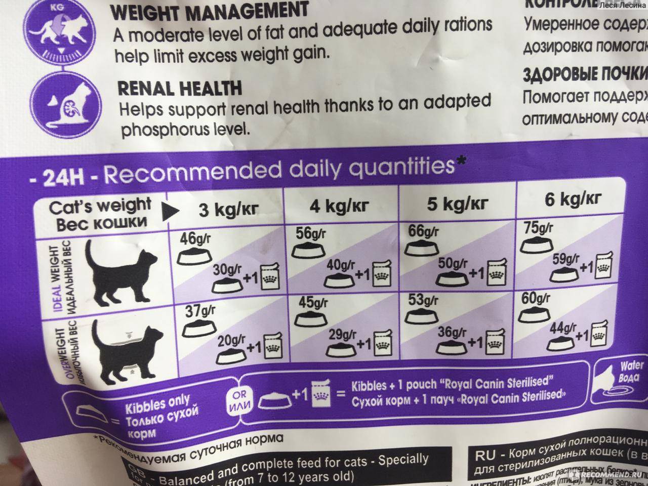 Чем лучше кормить больную кошку  виды кормов и рекомендации