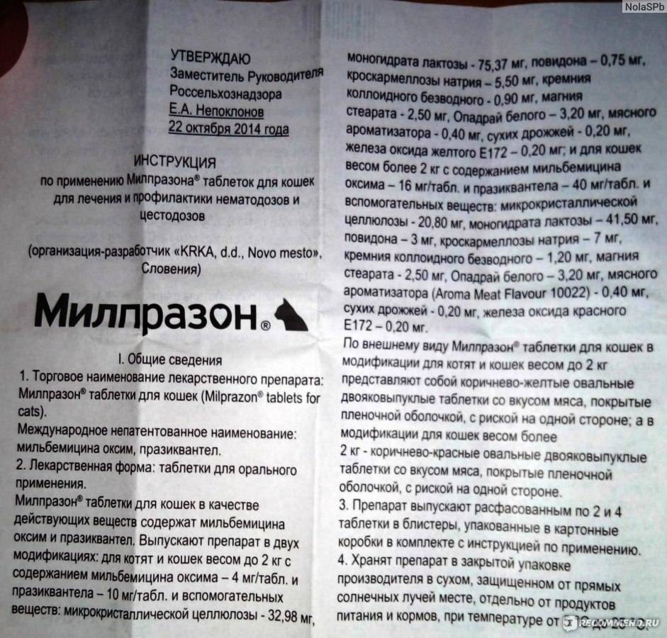Таблетки от глистов «милпразон» для кошек: описание, инструкция по применению
