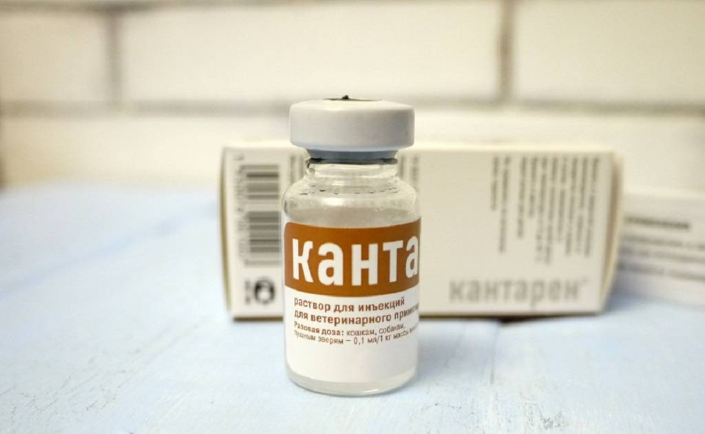 Канефрон н
