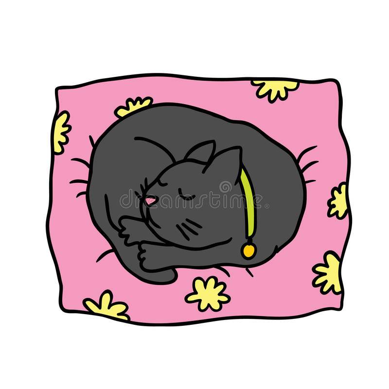 Почему по приметам кошка спит в постели хозяина