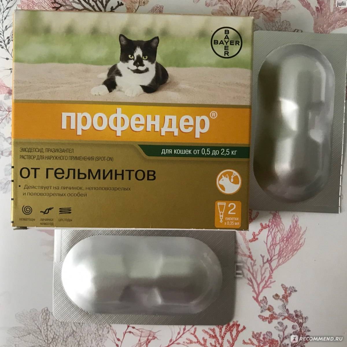 Профендер для кошек — инструкция по применению