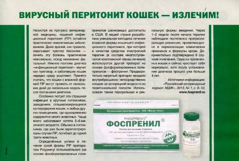 ᐉ препарат фоспренил для лечения кошек и собак, инструкция по применению - zoovet24.ru