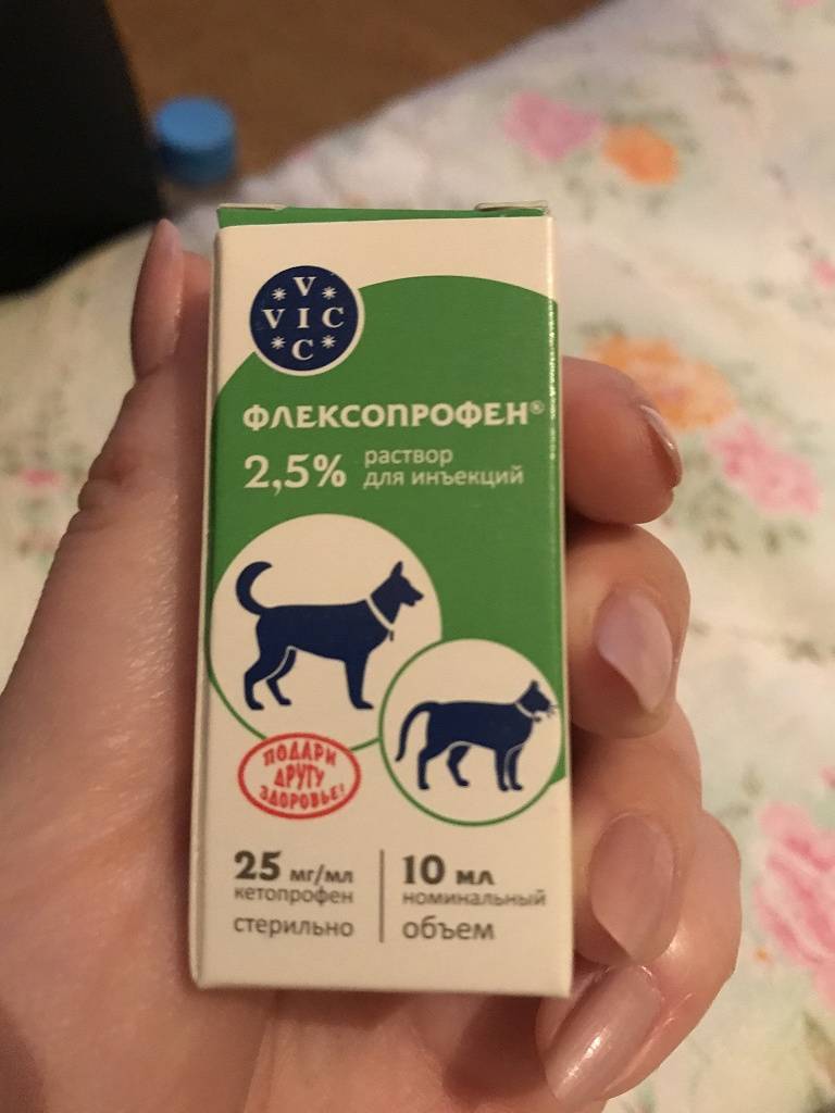 Раствор для инъекций «флексопрофен»: как применять для домашних животных (собаки, кошки)