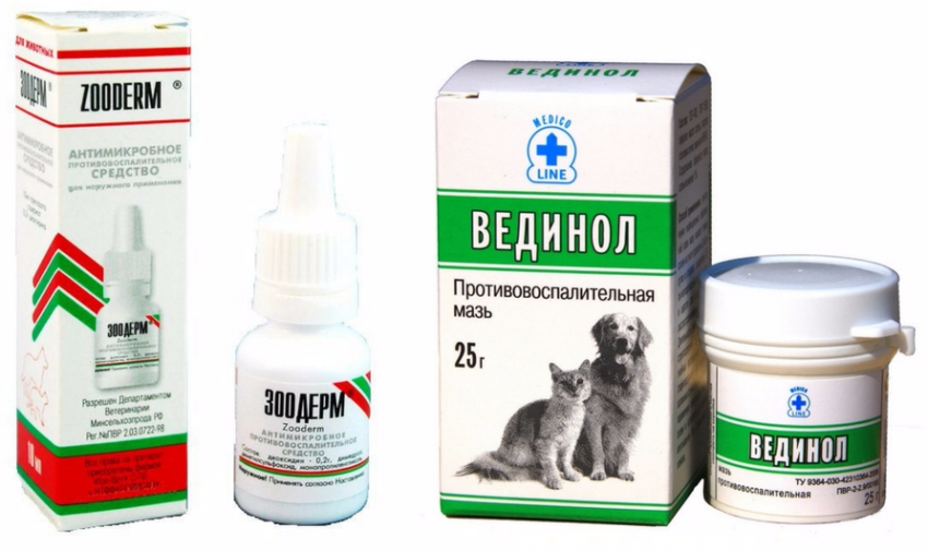 Межпальцевый дерматит у собак: лечение болячки и язвы между пальцев, чем лечить при частых обострениях, причины появления, отзывы