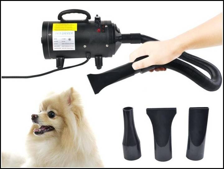 Одежда для собак на алиэкспресс: как подобрать размер