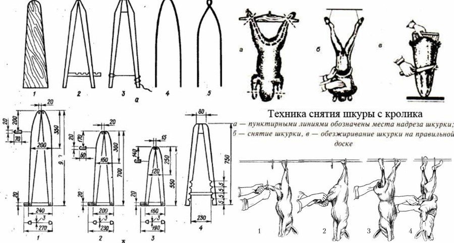 Выделка шкур кролика в домашних условиях: пошаговая инструкция и технология с фото и видео