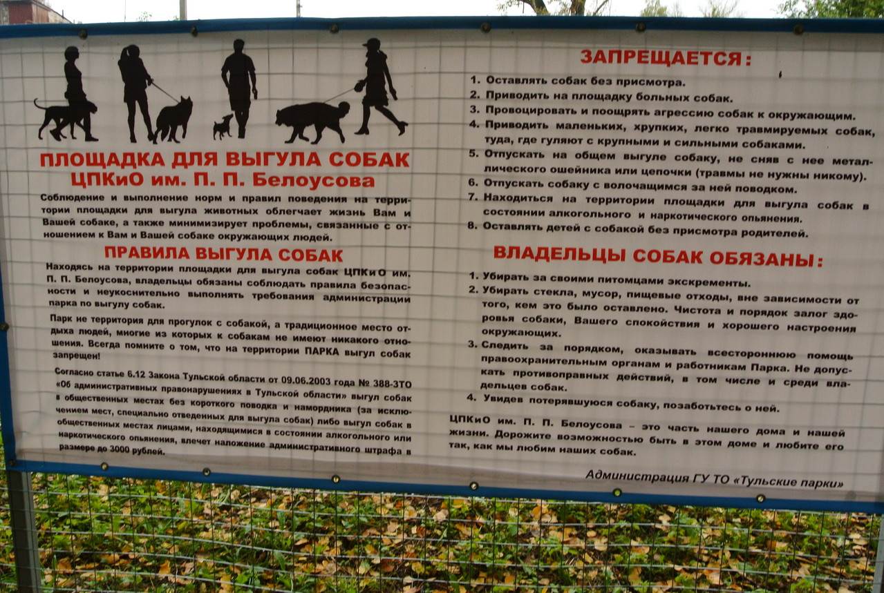 Площадки для выгула собак: нормативы, необходимое оборудование и проект