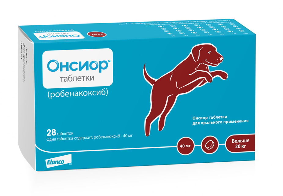 Онсиор для собак: инструкция по применению, цена, отзывы