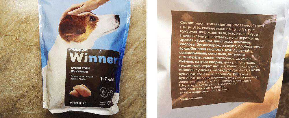 Топ-10 российских кормов для собак 2023: рейтинг лучших по составу на замену зарубежным (список производителей)