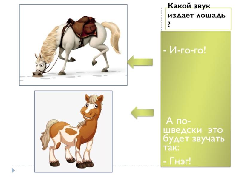 Какой звук издают кролики