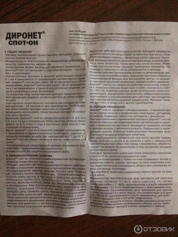 «диронет» для кошек: инструкция по применению, дозировка, противопоказания, аналоги, отзывы