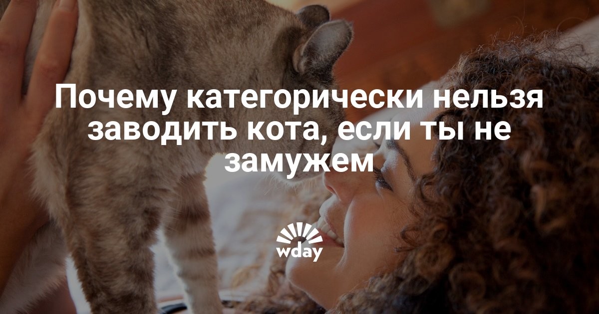 Почему нельзя целовать кошек и котят в морду, даже если они домашние?