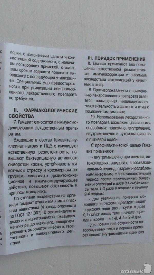 Гамавит для кошек: инструкция, дозировка, состав, применение