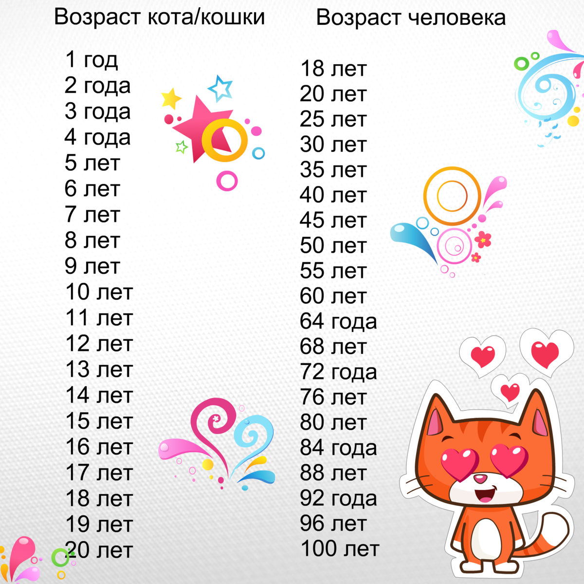 Возраст кошки по человеческим меркам: таблица, расчет  - mimer.ru
