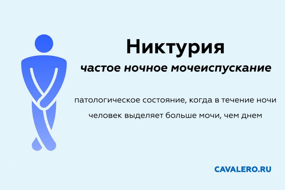 Ночные мочеиспускания у мужчин причины лечение схемы