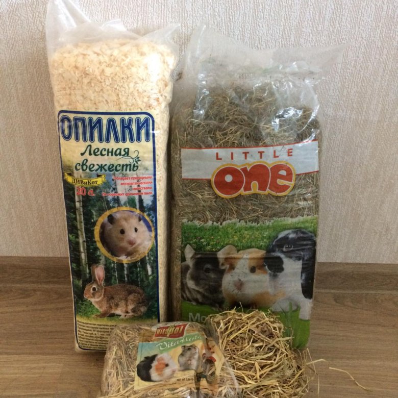 Что нужно для хомяка, чтобы обеспечить его здоровье: установка необходимых и желательных аксессуаров.