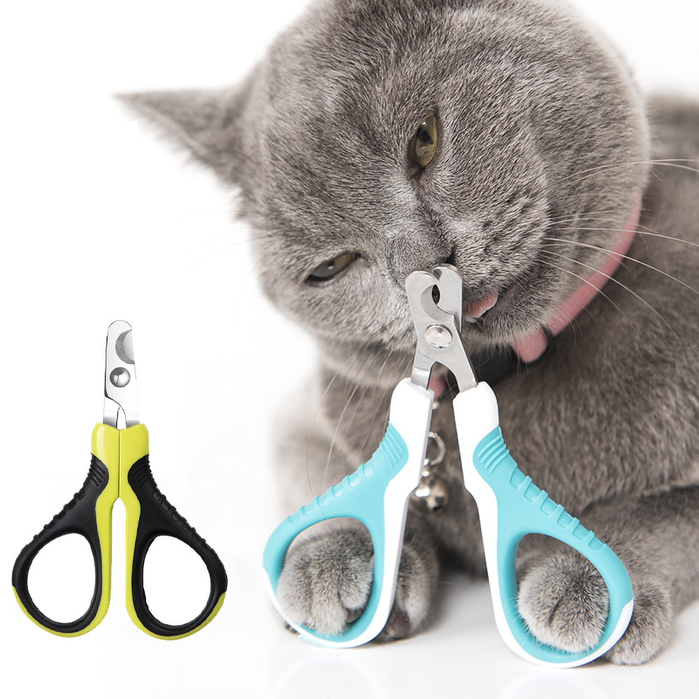 Ножницы для стрижки когтей у кошек: какой когтерез лучше, как пользоваться кусачками или щипцами?