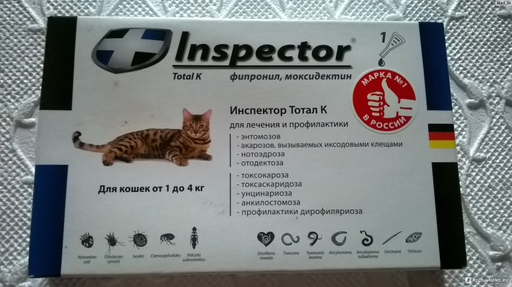 Особенности применения препарата «инспектор» для кошек