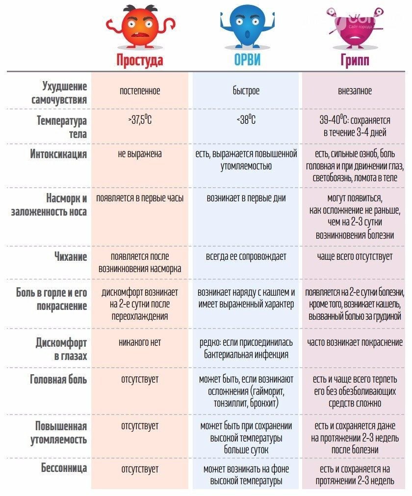 Почему возникает насморк у кошек и как эффективно его устранить